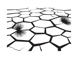 Cracked Earth Silhouette with Sea Urchins Vector Graphic Art