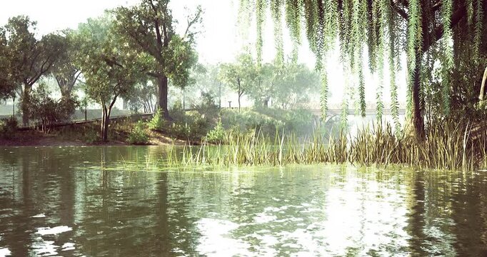 Sunlight glistens on calm water as lush green willows cascade gently over the shore. A picturesque bridge and trees create a peaceful backdrop, inviting moments of reflection and tranquility.