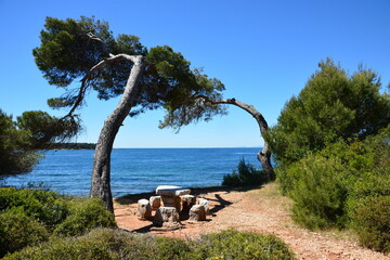 Fototapete bei efototapeten.de bestellen   