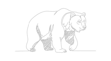 Line Art Sketch Style Walking Bear Illustration Animal Drawing Design