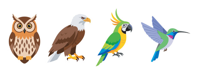 Fototapeta premium Stylized illustrations of four different bird species, including an owl, eagle, parrot, and hummingbird, showcasing diverse colors and features.