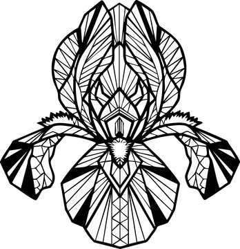 Elegant geometric iris flower illustration offers modern artistic beauty for sophisticated design projects and natural themes