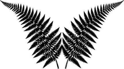 Elegant black fern fronds forming a symmetrical design, perfect for botanical illustrations, logos, or sophisticated design elements. © Vectors Studio