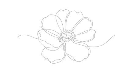 Simple Dotted Line Drawing Cosmos Flower Illustration in Black and White