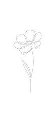Simple Line Art Style Rose Flower Floral Botanical Illustration