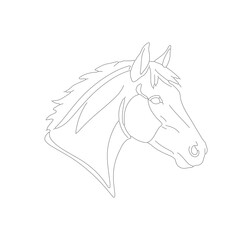 Minimalist Outline Horse Head Drawing Detailed Animal Illustration