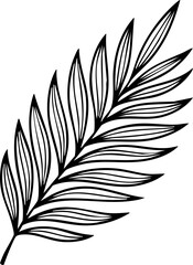 Obraz premium Elegant black and white palm leaf illustration for tropical design, perfect for branding, invitations, and modern decor.