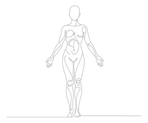 Dotted Line Art Detailed Female Human Body Anatomical Illustration