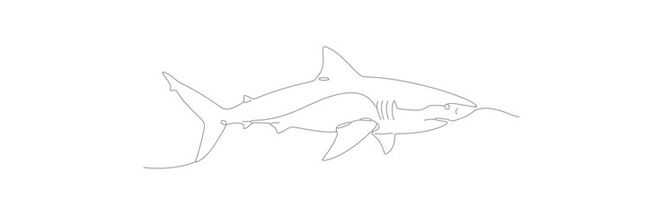 Minimalist Dotted Line Great White Shark Animal Marine Outline