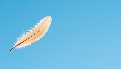 Fototapeta premium Floating Feather: A solitary feather drifts gracefully against a pristine blue sky. Light, airy, and free. Minimalist nature aesthetic.