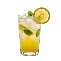 Refreshing Lemonade with Mint and Lemon Slice in Tall Glass on Black drink beverage
