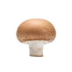Single Brown Mushroom with White Stem on Black Background champignon button mushroom