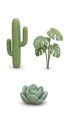 Minimalist Green Plant Collection - Cactus, Monstera, and Succulent.