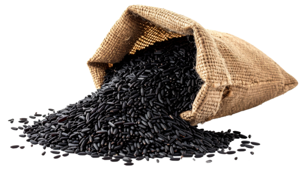 Organic Black Rice in Rustic Burlap Sack. Isolated on Transparent Background. 