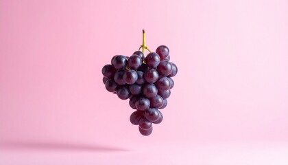 Dark purple grapes clustered against light pink background