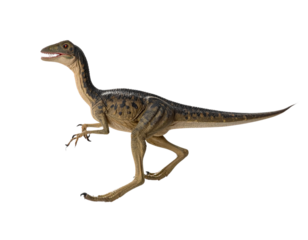  Running Coelophysis Dinosaur with Motion Blur Isolated on
