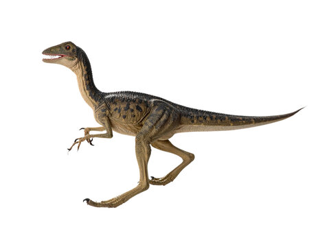  Running Coelophysis Dinosaur with Motion Blur Isolated on
