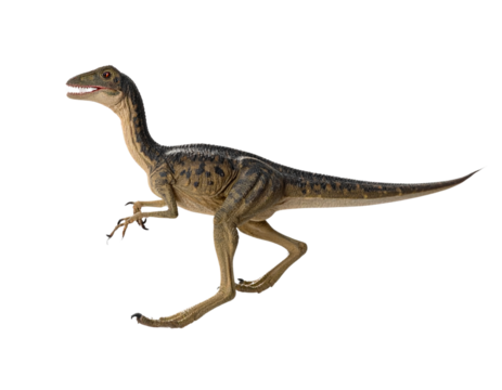  Running Coelophysis Dinosaur with Motion Blur Isolated on
