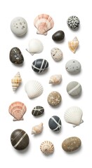 Collection of Seashells and Pebbles on White Background.