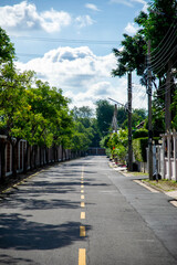 road in the park