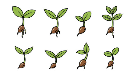 Diverse Stages of Seedling Growth and Development.