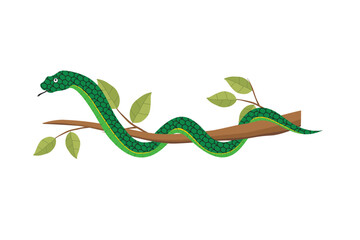 Green Snake on Tree Branch Vector Illustration