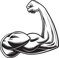 Detailed black and white vector illustration of a powerful, muscular arm flexing the bicep with a clenched fist, symbolizing strength, fitness, power, and determination. Perfect for gym and sports con