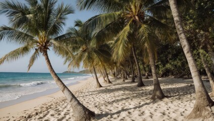 Tropical beach scene, sun-drenched, palm trees lining the sandy shore and gentle waves