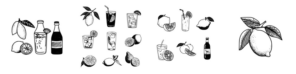 Hand drawn collection of citrus fruits and refreshing lemon drinks