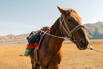Obraz premium Tourists on horseback in Kurumduk valley Naryn province, Kyrgyzstan