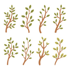 Obraz premium Botanical illustrations of delicate tree branches with leaves, perfect for organic designs and nature-themed aesthetics
