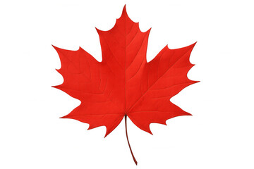 Red maple leaf showcasing vibrant autumn colors. Symbolizing canada and the fall season. Isolated on a transparent background