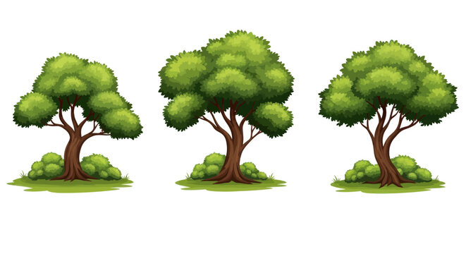 Three stylized green trees with lush foliage and bushy bases.