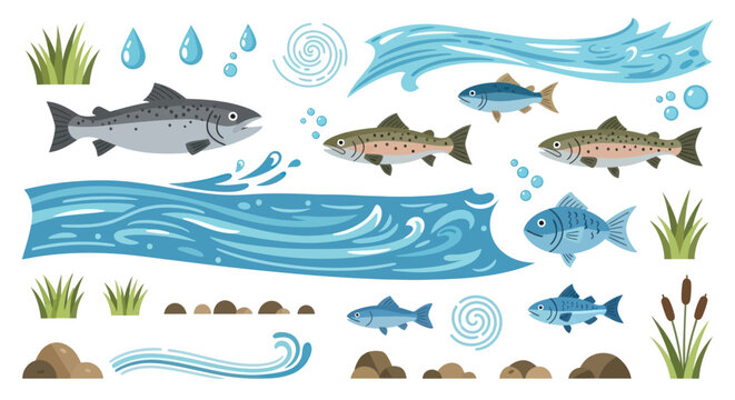 Freshwater Fish and Aquatic Elements Collection Vector Illustration.