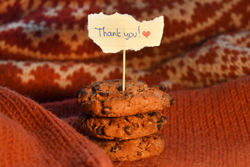 Thanksgiving cookies on warm knitted background. Homemade cookies with Thank You note on cozy sweater fabric, symbolizing gratitude and warmth for Thanksgiving holiday.