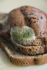Close Up Of Green And White Mold (Fungus) On Slices Of Old Wholegrain Bread. Vertical Shot, Concept Of Spoiled And Unhealthy Food.