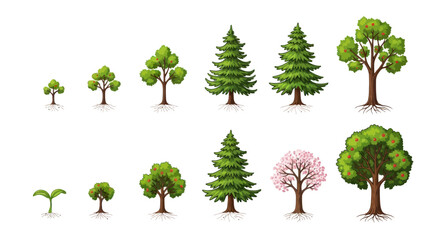 A collection of illustrated trees showing various growth stages from sprout and sapling to mature deciduous coniferous and flowering trees. © Rizal