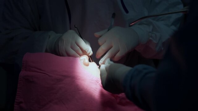 A team of professional dentists and oral surgeons perform a dental surgery in a sterile, modern operating room.