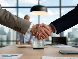 Professional business handshake in modern office building, partnership agreement and corporate success concept, businessmen shaking hands for teamwork and cooperation