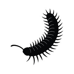 Millipede Silhouette