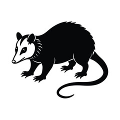 Opossum