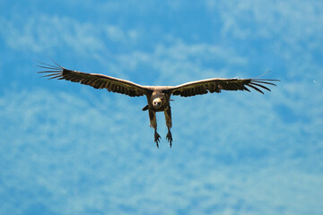 _DSC2713.NEF