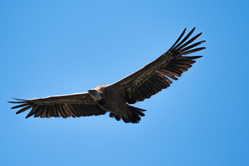 _DSC2735.NEF