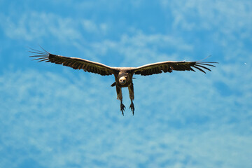 03032024-_DSC2713.NEF