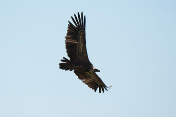 03032024-_DSC2725.NEF