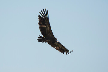 03032024-_DSC2723.NEF