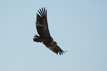 03032024-_DSC2724.NEF