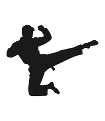 Dynamic silhouette of a martial artist performing a powerful flying side kick in mid air