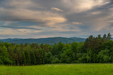 Obraz premium Forest and Bieszczady mountains 