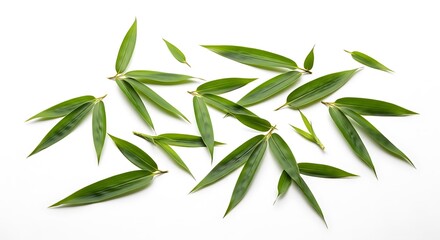 Fototapeta premium Bamboo Leaves Arrangement on White Background - Minimalist Greenery.